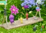 Pikmin Bloom_ 三週年半紀念社群週即將登場