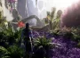 《阿凡達 ： 潘朵拉邊境》將於 12 月 5 日推出第三人稱模式與「新遊戲+」功能