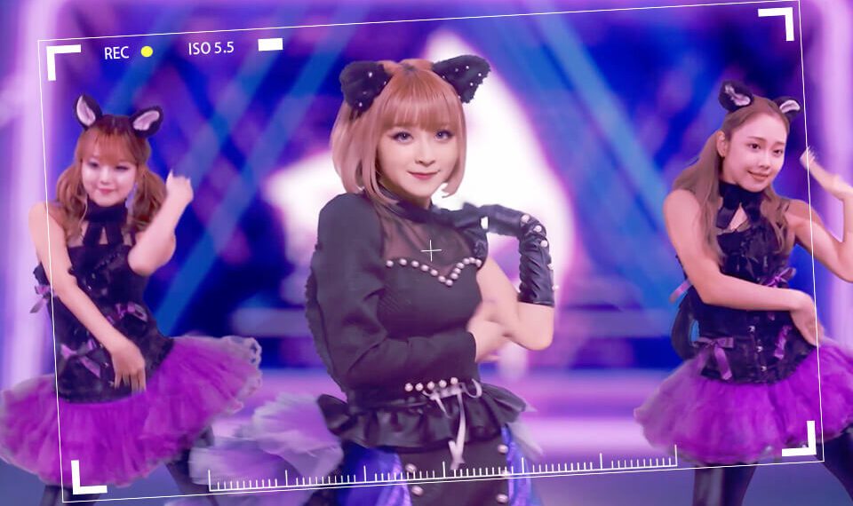 貓之城》X GARNiDELiA合作印象曲上線 來聽聽貓貓的獨佔宣言吧
