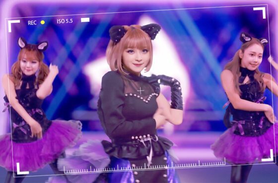 《貓之城》X GARNiDELiA合作印象曲上線 來聽聽貓貓的獨佔宣言吧