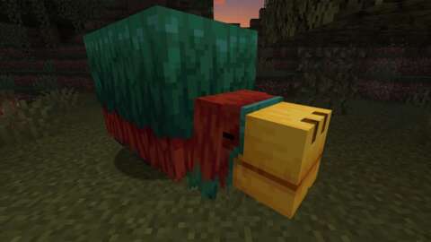 Minecraft 將在 1.20 更新中添加粉絲投票的暴徒 Sniffer Minecraft 將在 1.20 更新中添加粉絲投票的暴徒 Sniffer