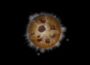 Cookie Clicker即將進入遊戲機，包括Nintendo Switch 2