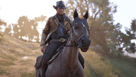 接管兩個老闆在RDR 2端口的報導中對開關的“非常好” 接管兩個老闆在RDR 2端口的報導中對開關的“非常好”