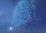 Elden Ring Nightreign Augur Fathom of Night Boss指南