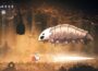 空心騎士：Silksong已經有很多mod，使遊戲更容易