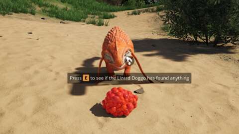 馴服令人滿意的蜥蜴狗以獲得樂趣和利潤