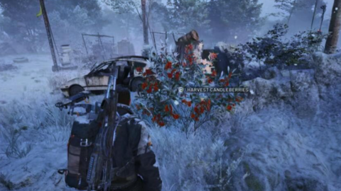 在《電弧襲擊者》和所有閃爍的火焰物品中哪裡可以找到燭莓 在《電弧襲擊者》和所有閃爍的火焰物品中哪裡可以找到燭莓