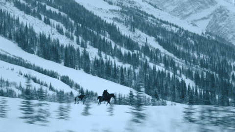 《最後生還者》第三季又失去一人,角色待重新塑造