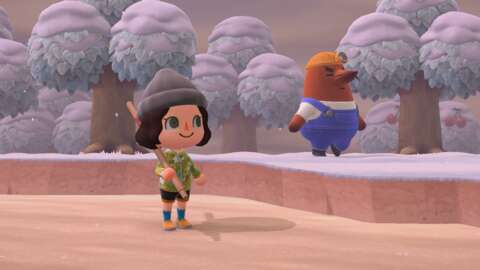 如何在《動物之森：新視野》中使用 Resetti 的重置服務