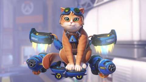 4647640-overwatch_jetpackcat