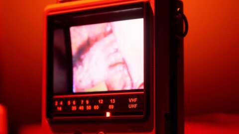 《寂靜嶺傳輸》2026 年 2 月：開始時間、如何觀看以及期待什麼