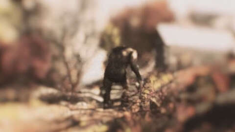 4653580-fallout76bigfoot