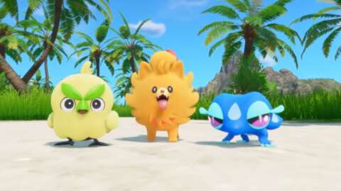 口袋妖怪風浪，第10代口袋妖怪，正式揭曉