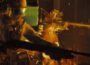 FBC：Remedy 稱 Firebreak 並未關閉