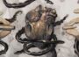 如何在零遊行中獲得槍支：死亡間諜