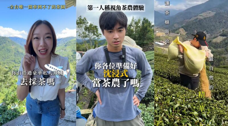 展現台灣新農業文化韌性！TikTok 助攻地方創生 品茗美學注入現代創意被世界看見