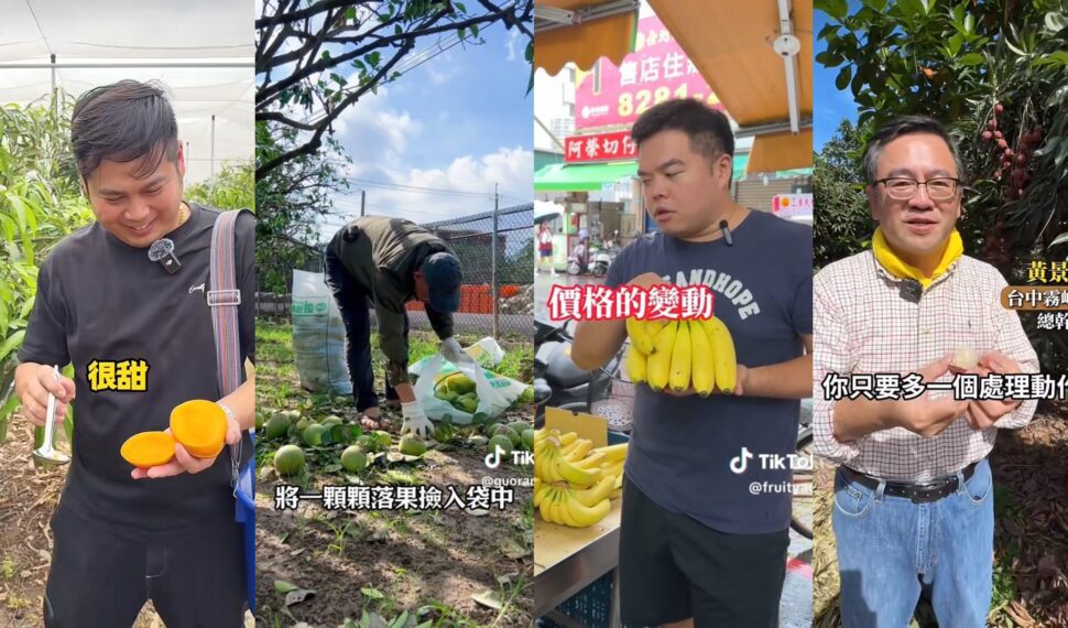 打破通路侷限 農民用TikTok短影音推銷盛產水果 開啟產銷新模式